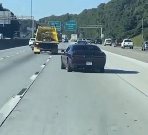 Imagem sem descrição